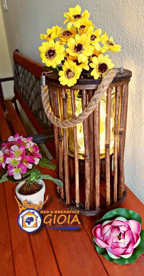 קטנזארו B&B Gioia מראה חיצוני תמונה