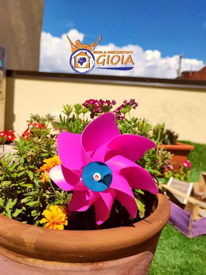 קטנזארו B&B Gioia מראה חיצוני תמונה