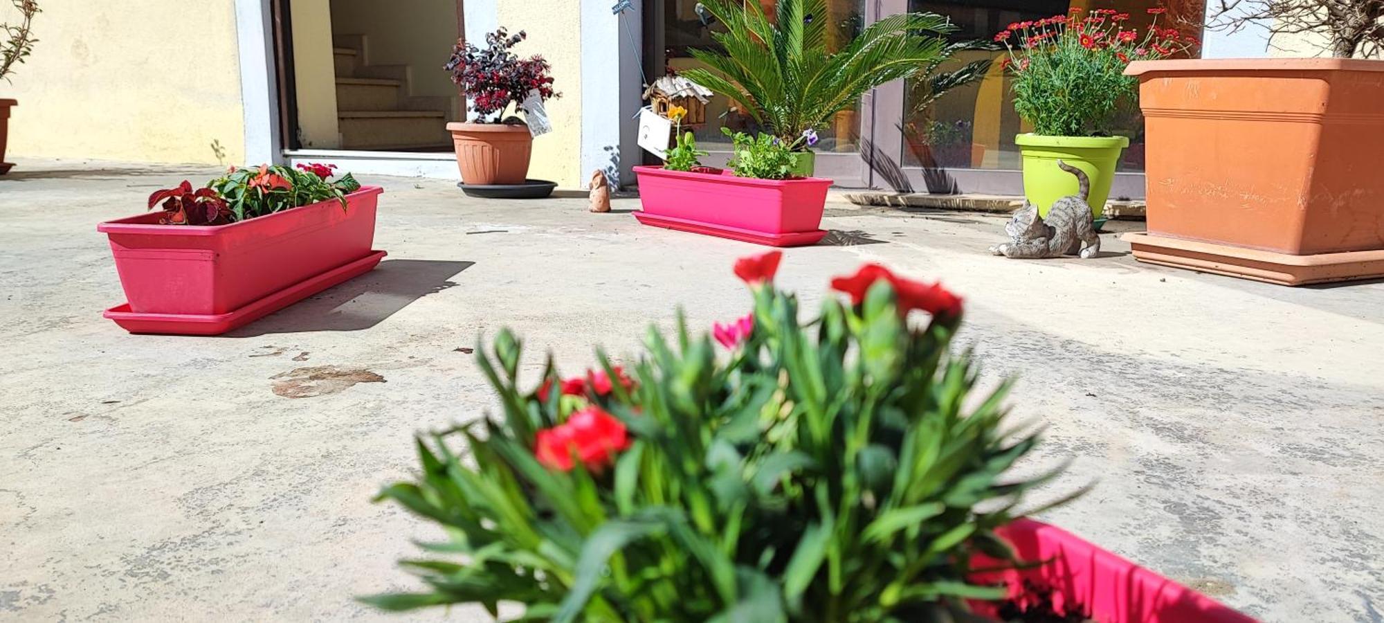 קטנזארו B&B Gioia מראה חיצוני תמונה